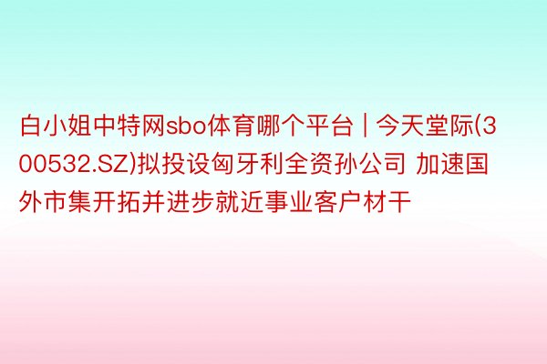 白小姐中特网sbo体育哪个平台 | 今天堂际(300532.SZ)拟投设匈牙利全资孙公司 加速国外市集开拓并进步就近事业客户材干