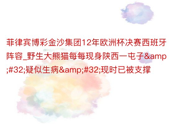 菲律宾博彩金沙集团12年欧洲杯决赛西班牙阵容_野生大熊猫每每现身陕西一屯子&#32;疑似生病&#32;现时已被支撑